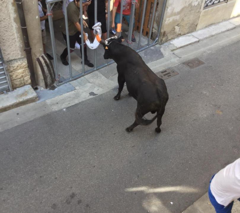Photo of Others in Noves