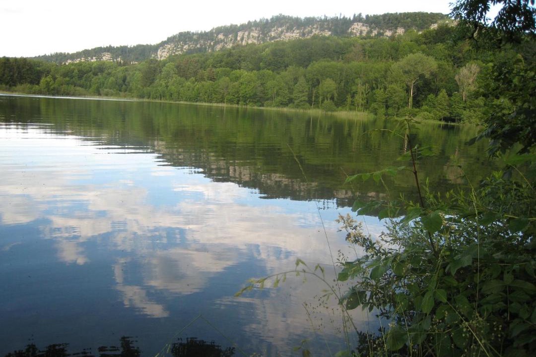 Photo of Others in La Chaux-du-Dombief