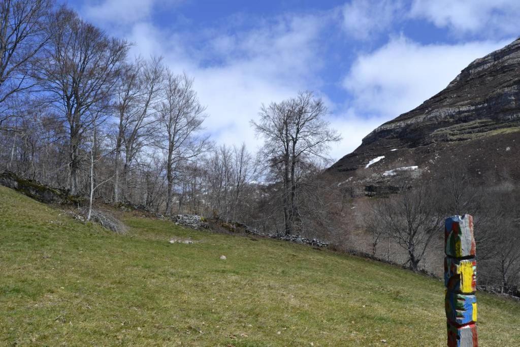 Photo of Outdoor in Espinosa de los Monteros