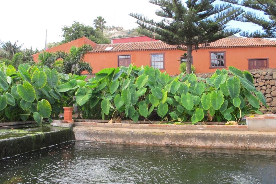 Photo of Others in San Cristobal de La Laguna