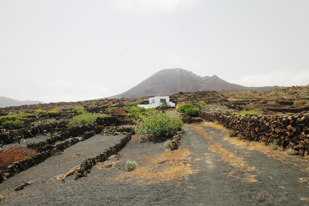 Photo of Others in Haria