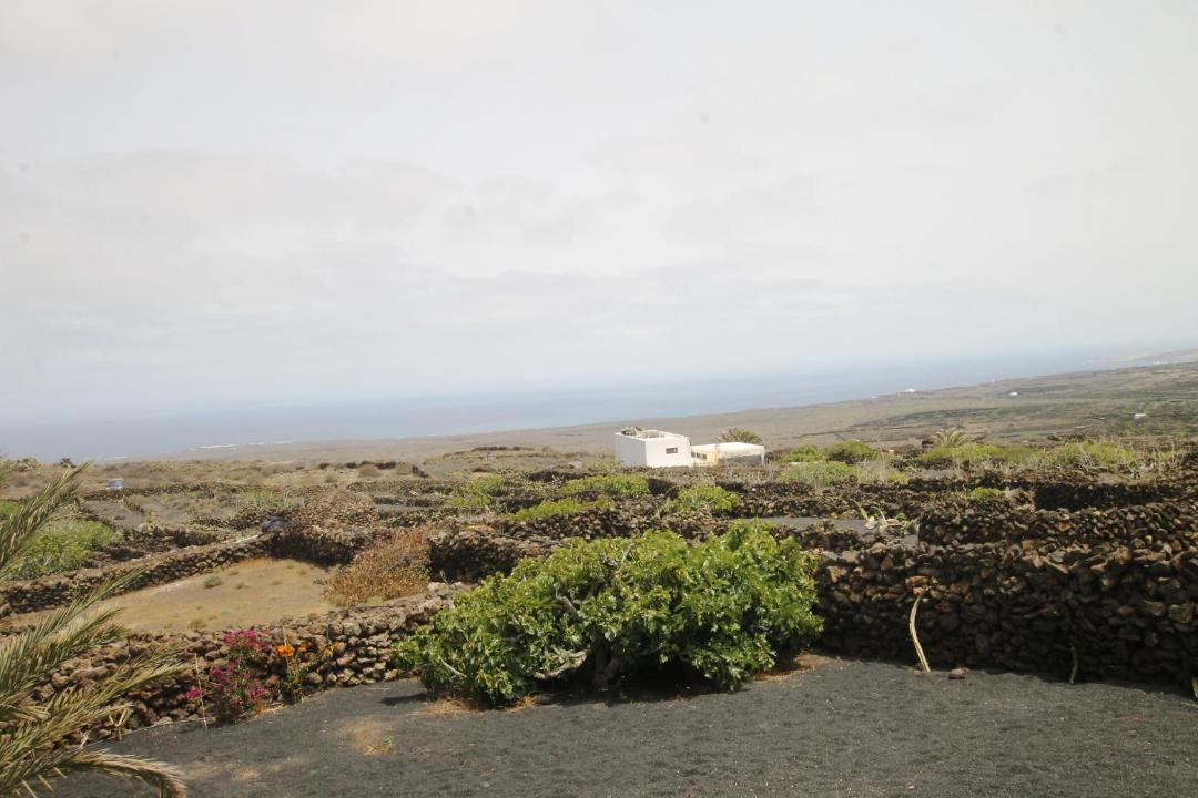 Photo of Others in Haria