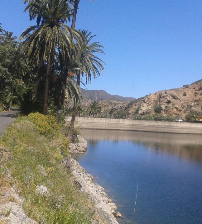 Photo of Others in Vallehermoso