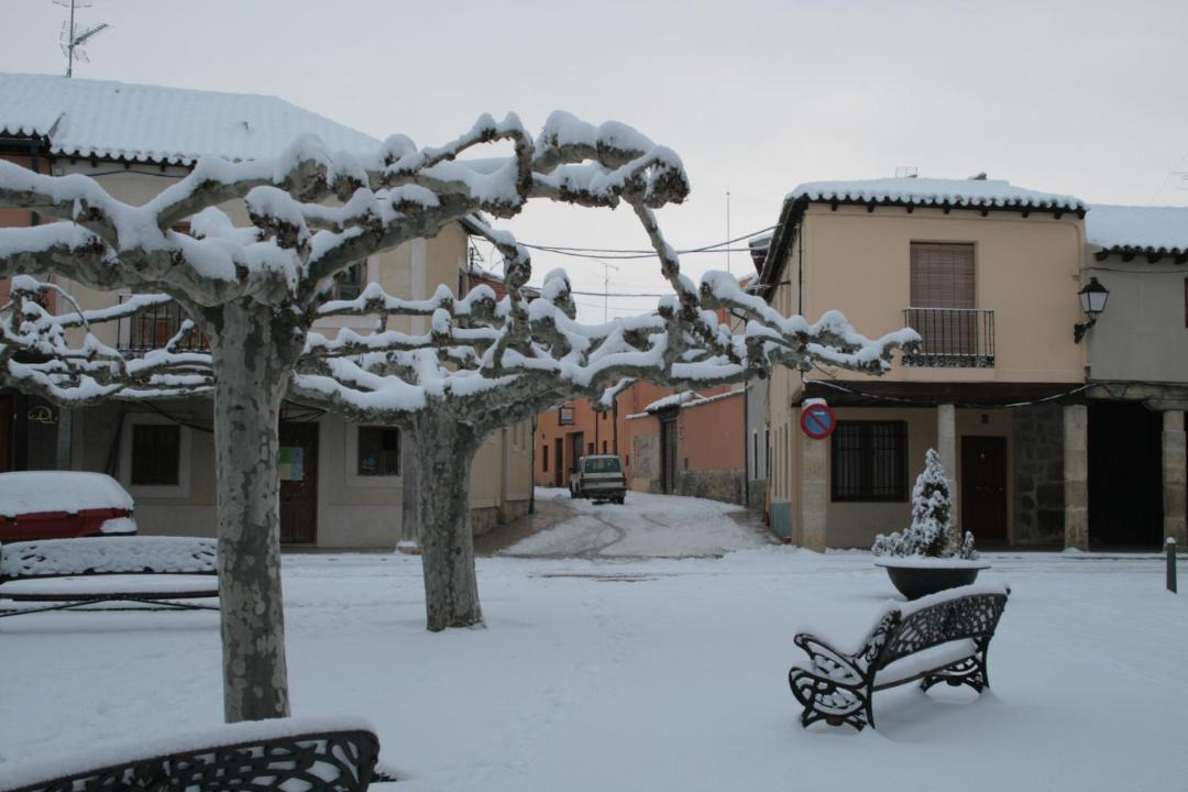 Photo of Others in Ampudia