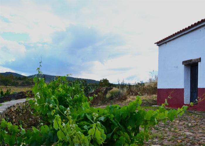 Photo of Others in La Codosera