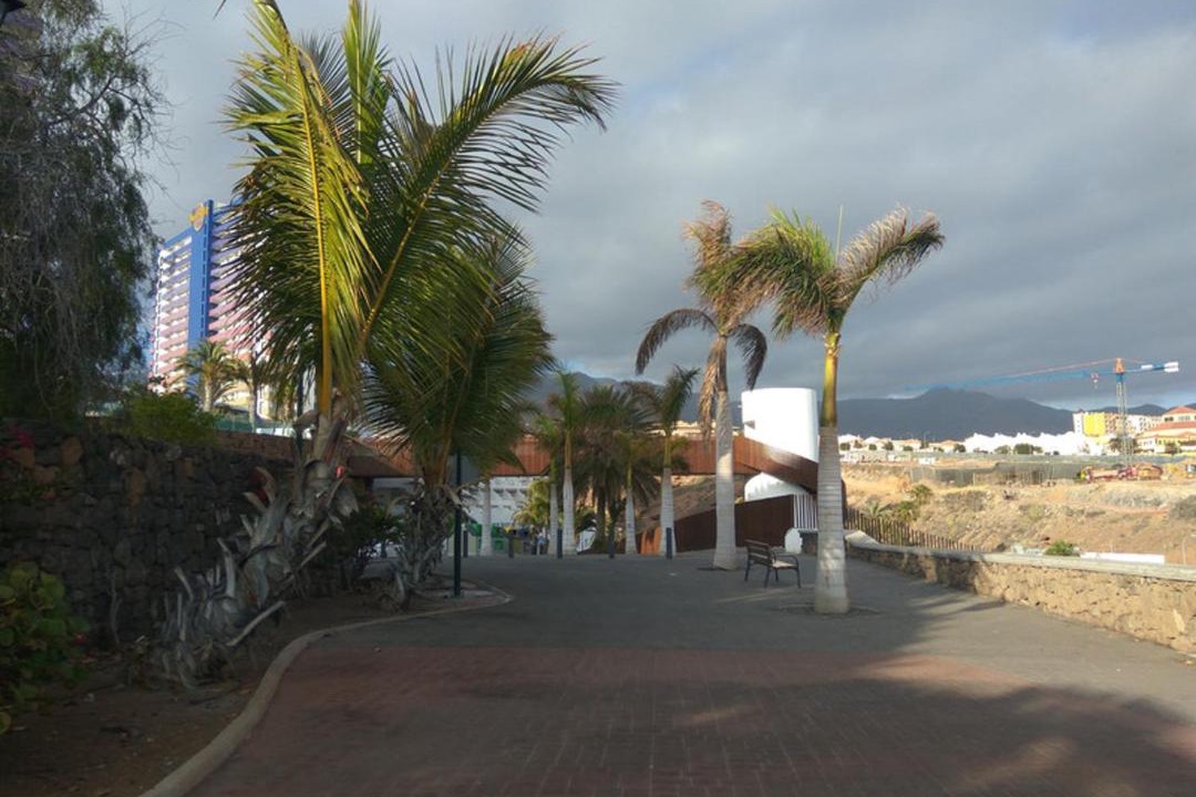 Photo of Others in Costa Adeje