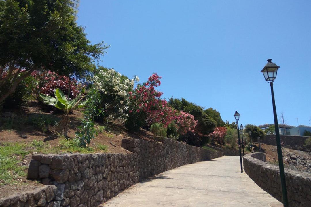 Photo of Others in Costa Adeje