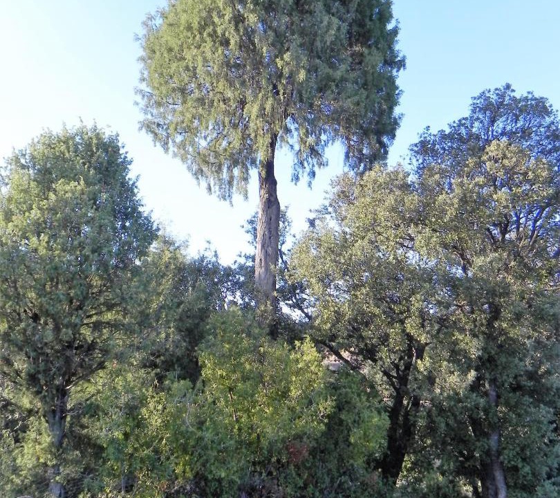 Photo of Outdoor in Mora de Rubielos