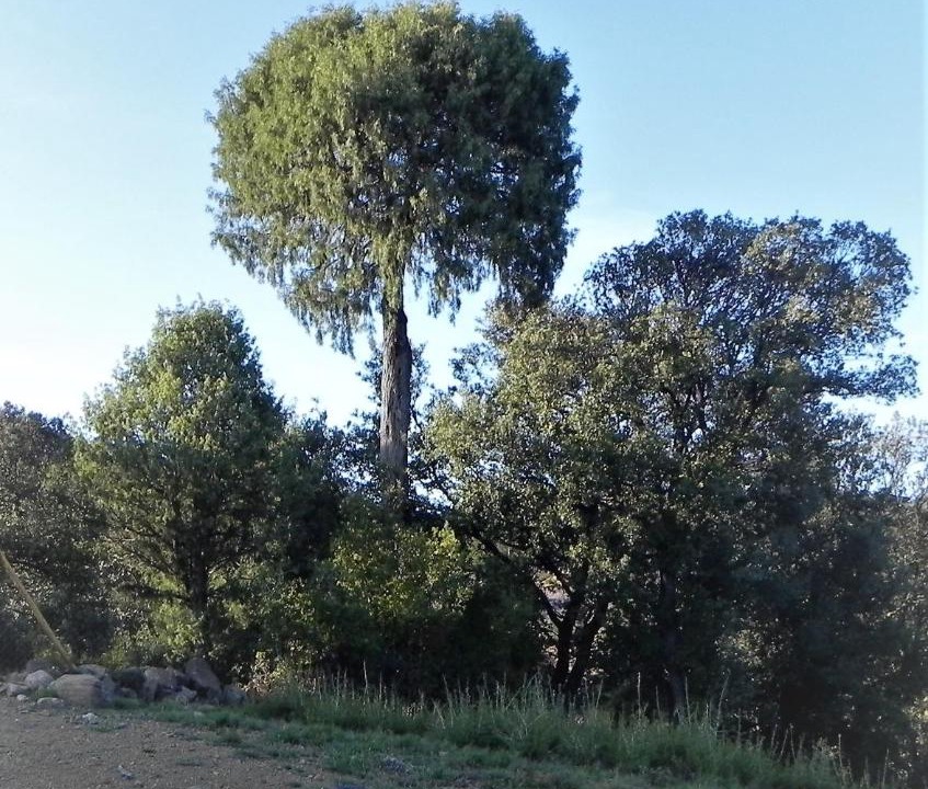 Photo of Outdoor in Mora de Rubielos