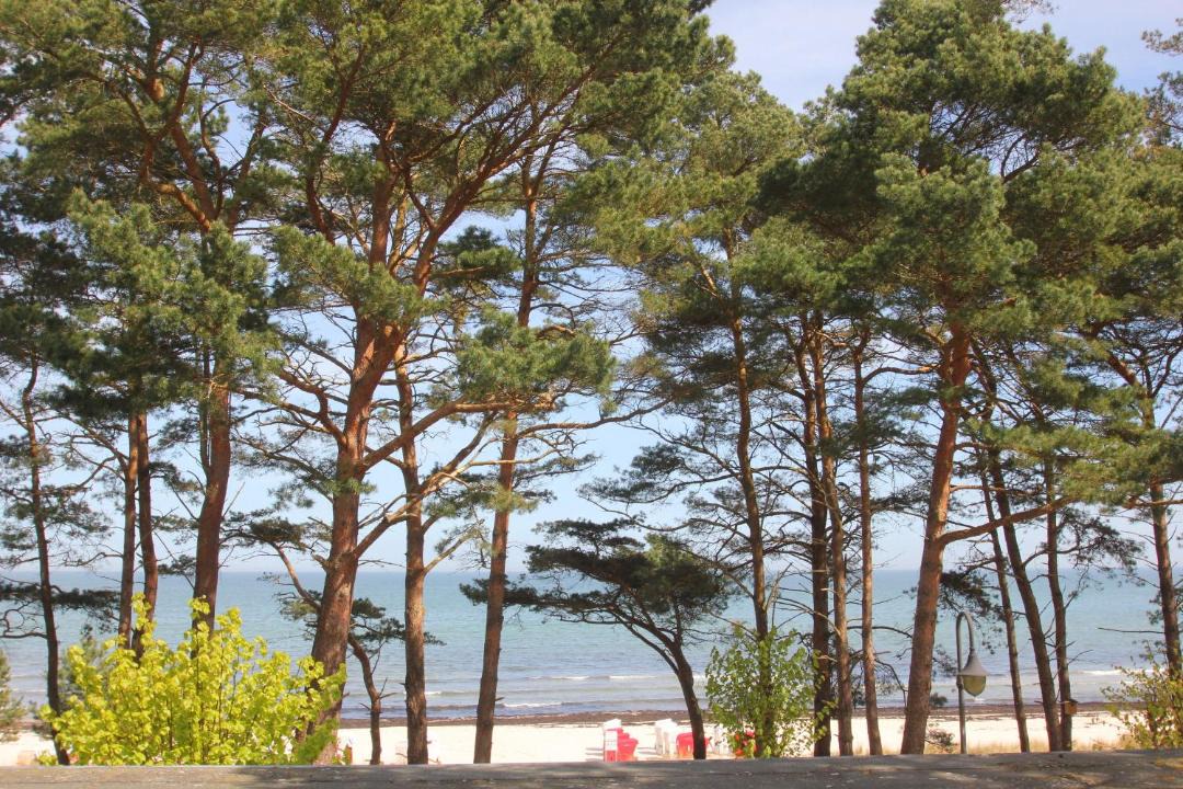 Photo of Others in Binz