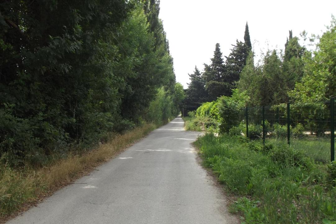Photo of Others in Paluds de Noves
