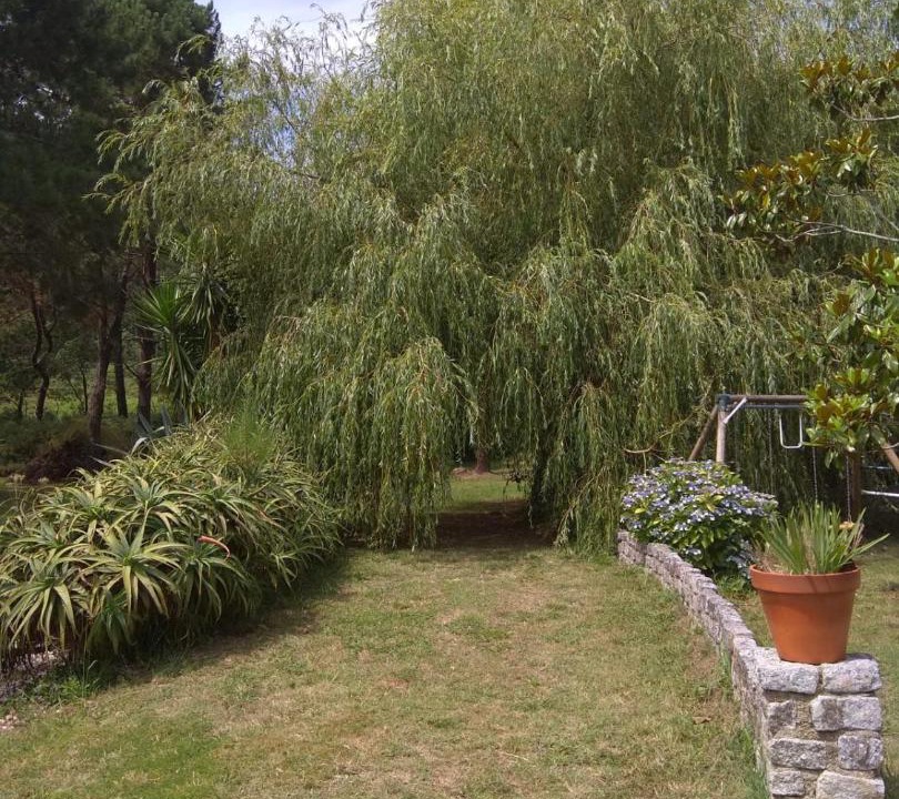 Photo of Outdoor in Ribeira