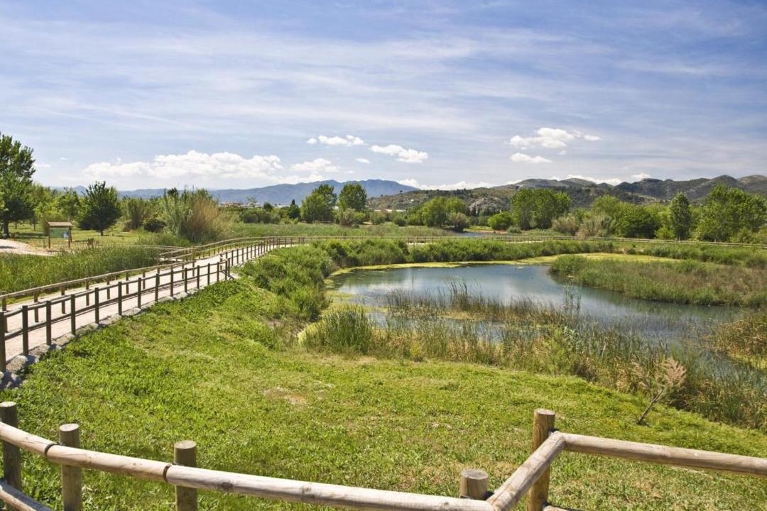 Photo of Outdoor in Grau i Platja