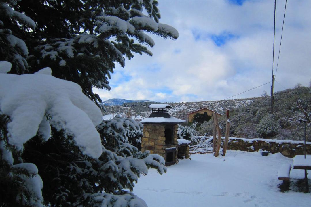 Photo of Others in Hoyos del Collado