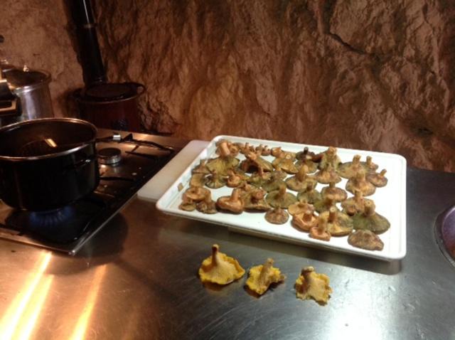Photo of Kitchen in Valdelarco