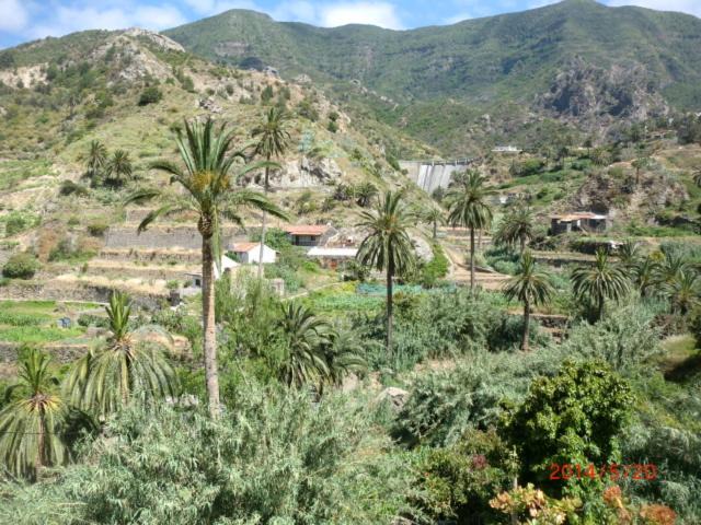 Photo of Outdoor in Vallehermoso