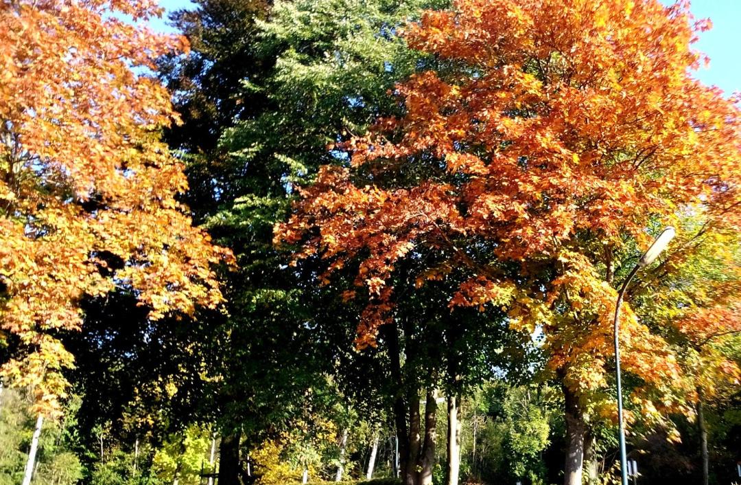 Photo of Outdoor in Erkerode