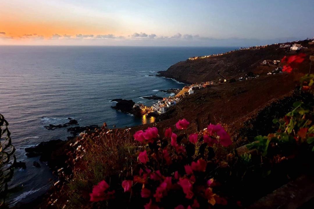 Photo of Outdoor in Tacoronte