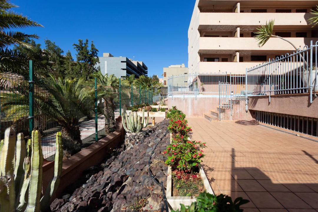 Photo of Buildings in Los Cristianos