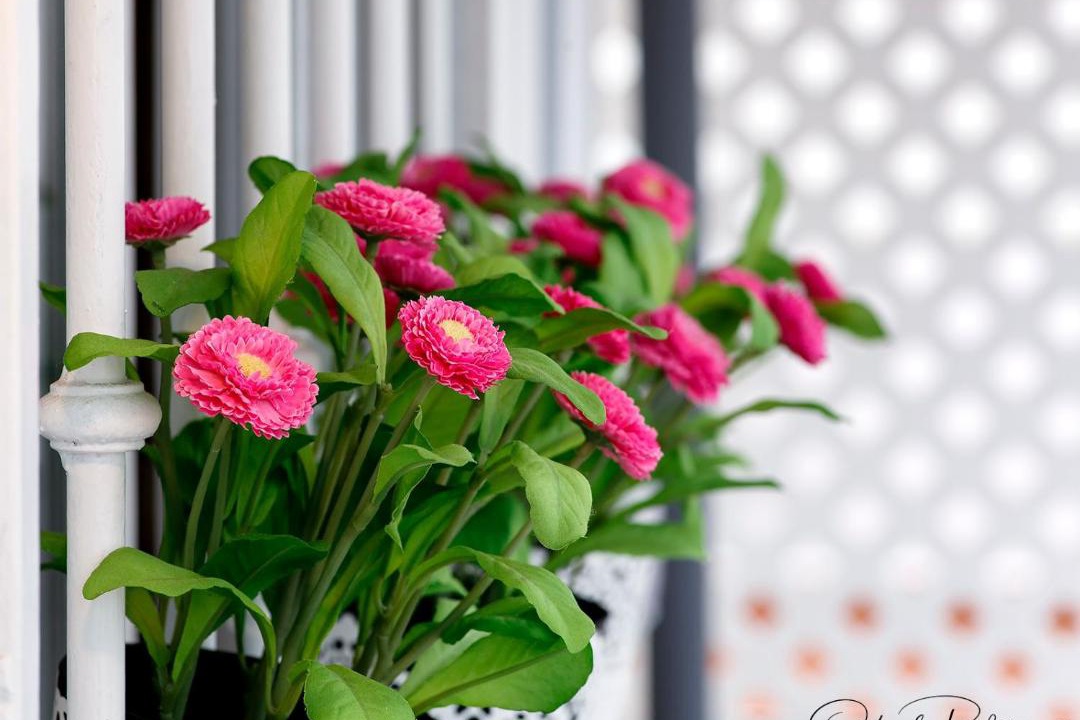 Photo of Patio Balcony in Vegueta