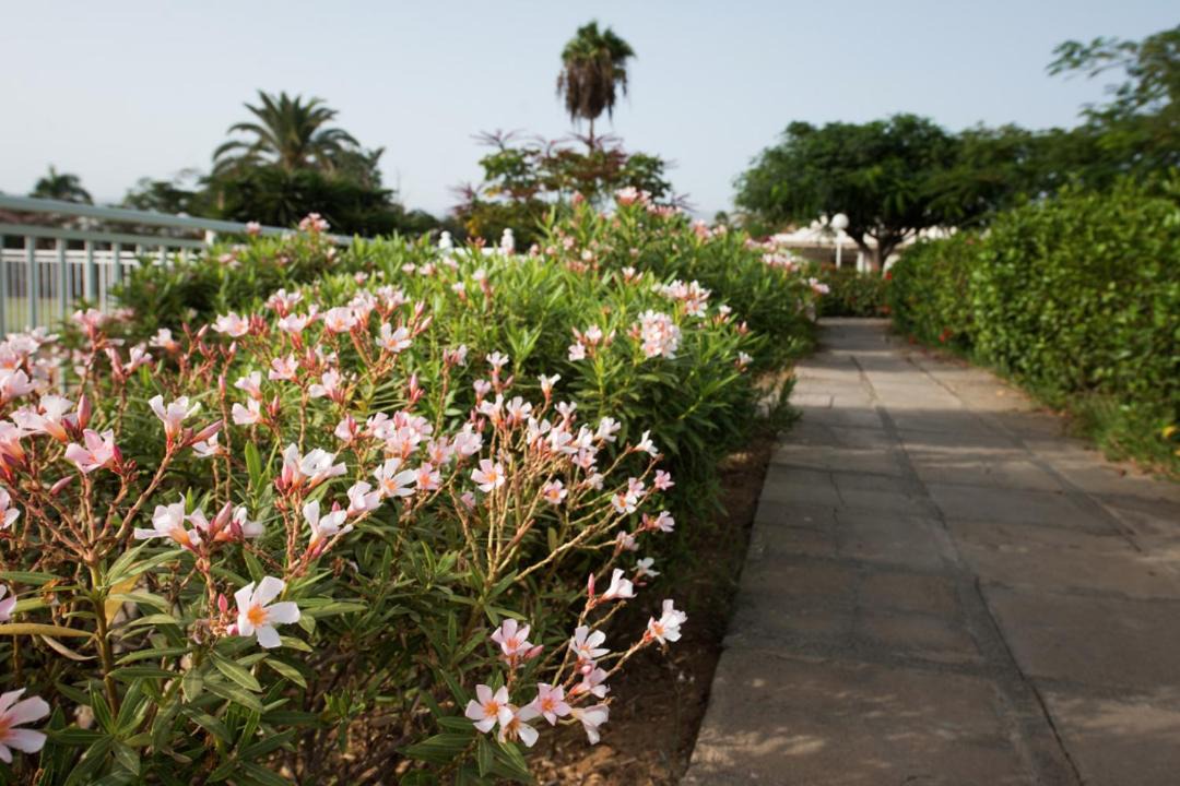 Photo of Others in Maspalomas