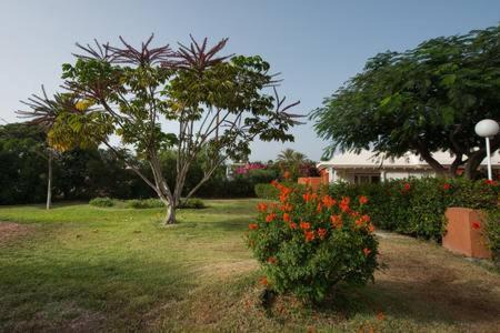 Photo of Others in Maspalomas