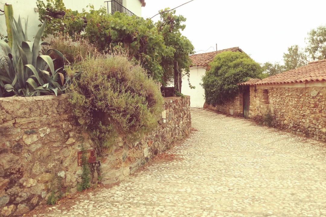 Photo of Others in El Collado