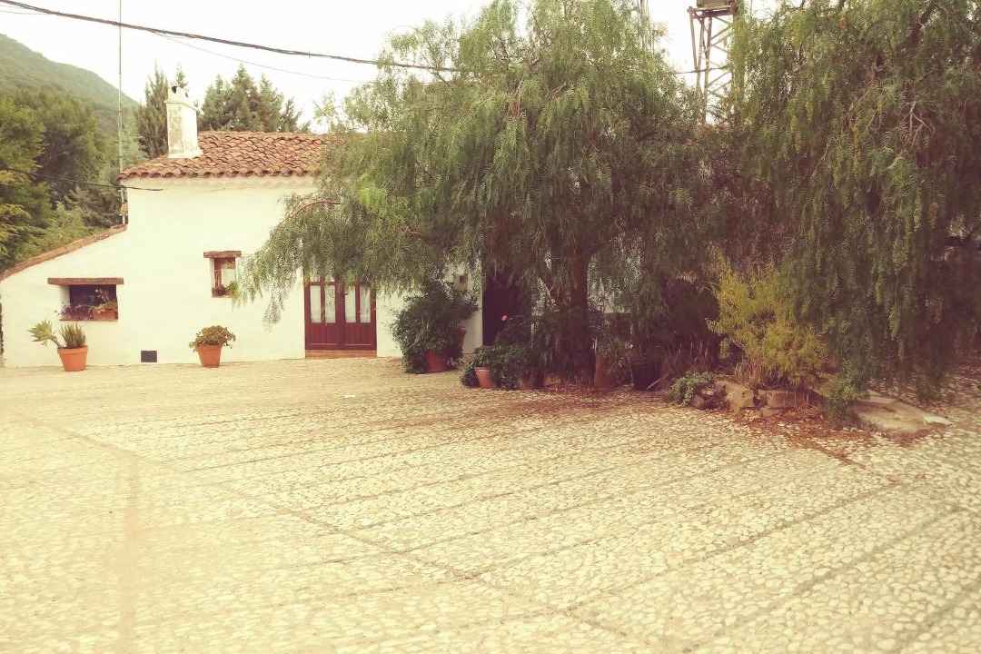 Photo of Others in El Collado