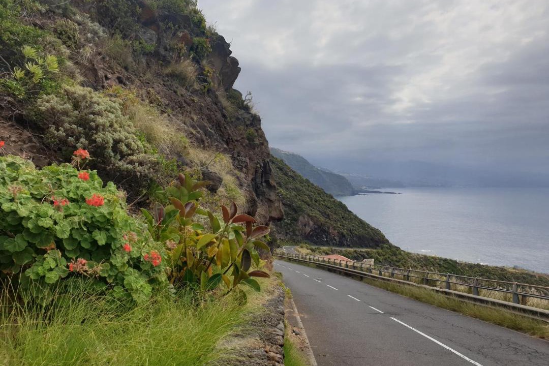 Photo of Outdoor in Tacoronte