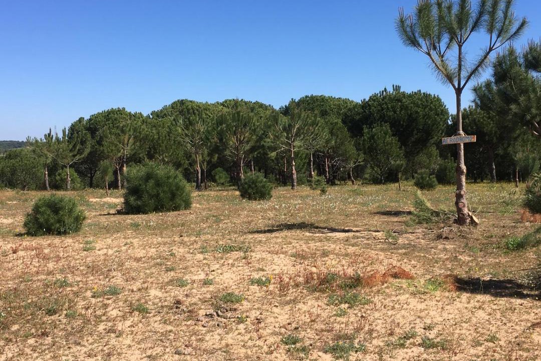 Photo of Outdoor in Cartaya