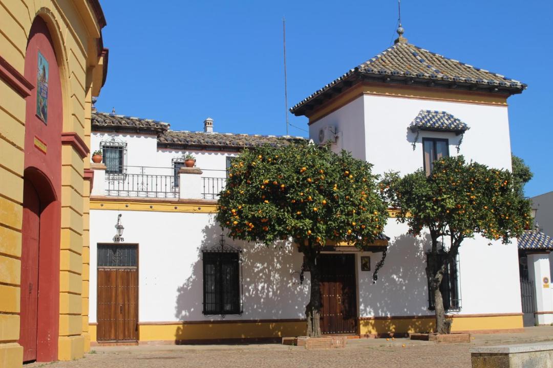 Photo of Buildings in Jerez de los Caballeros