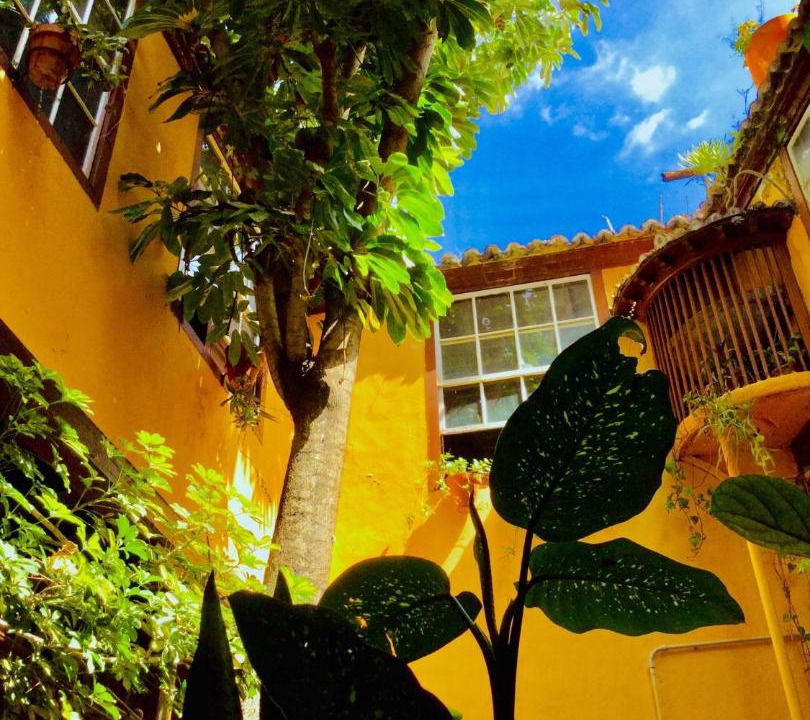 Photo of Patio Balcony in Santa Cruz de la Palma