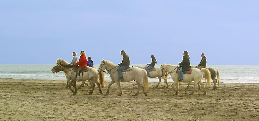 Photo of Others in Saintes-Maries-de-la-Mer