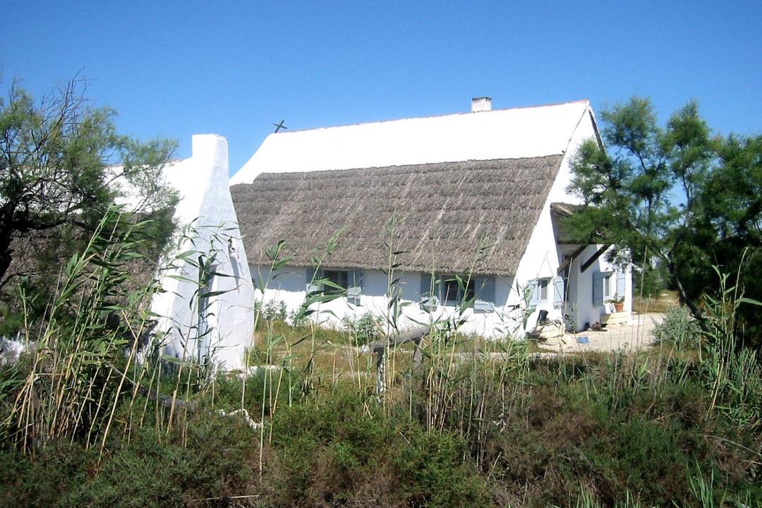 Photo of Others in Saintes-Maries-de-la-Mer