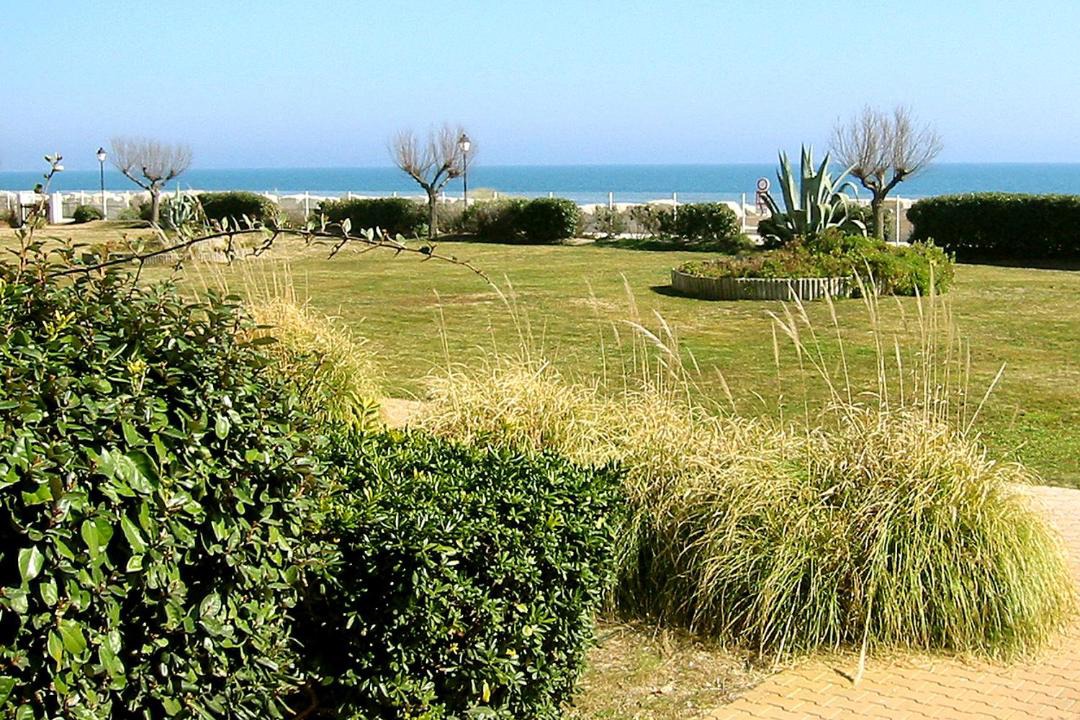 Photo of Outdoor in Saintes-Maries-de-la-Mer