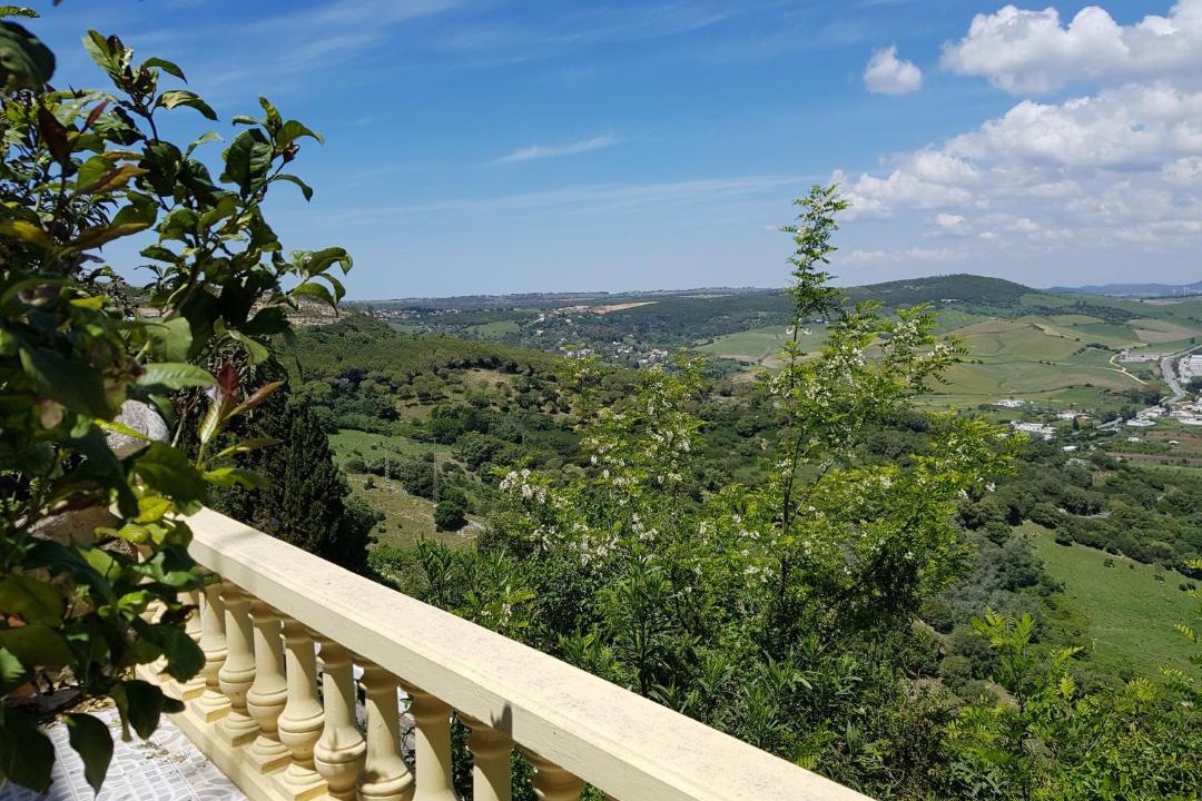 Photo of Others in San Ambrosio