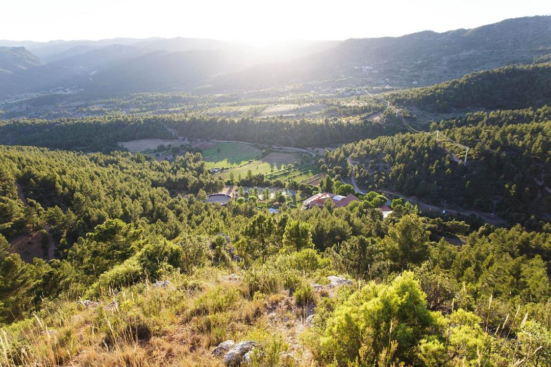 Photo of Others in Bogarra