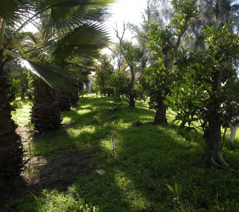 Photo of Outdoor in Cartaya