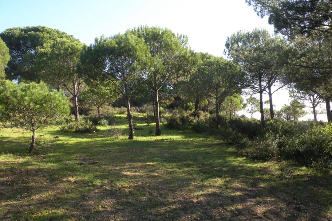 Photo of Outdoor in Cartaya