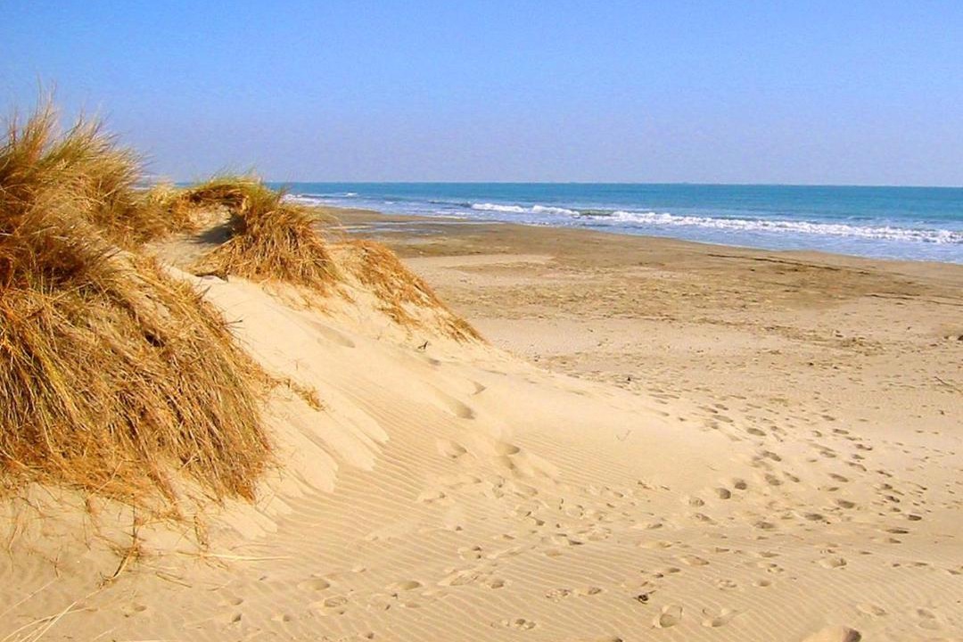 Photo of Outdoor in Saintes-Maries-de-la-Mer