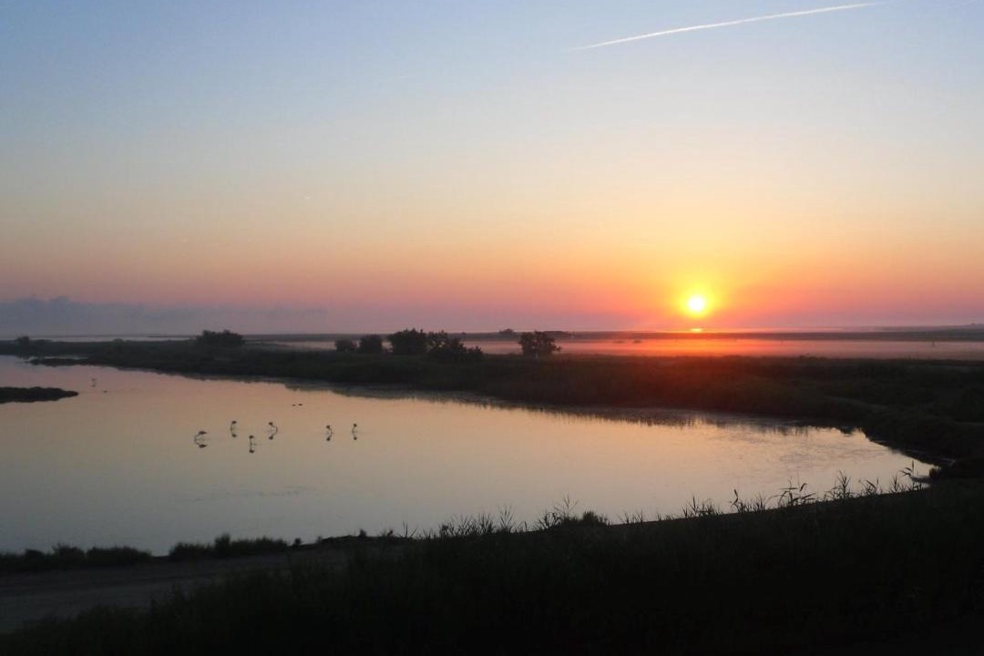 Photo of Others in Saintes-Maries-de-la-Mer