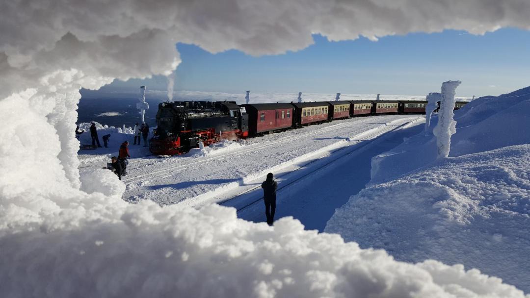 Photo of Others in Schierke