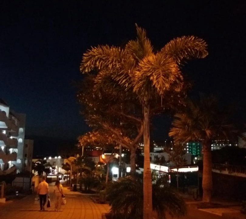 Photo of Others in Costa Adeje