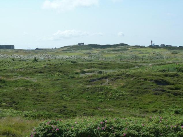 Photo of Outdoor in Hornum