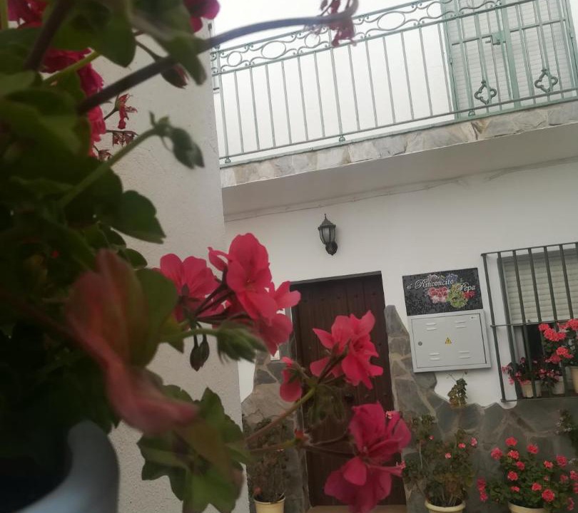 Photo of Buildings in Conil de la Frontera City Center