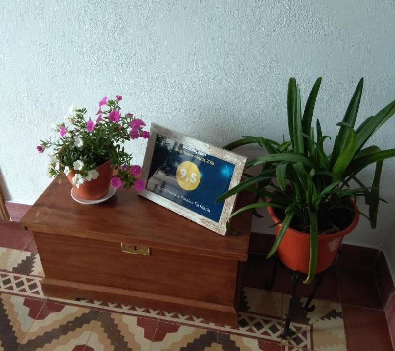 Photo of Others in Mata de Alcantara