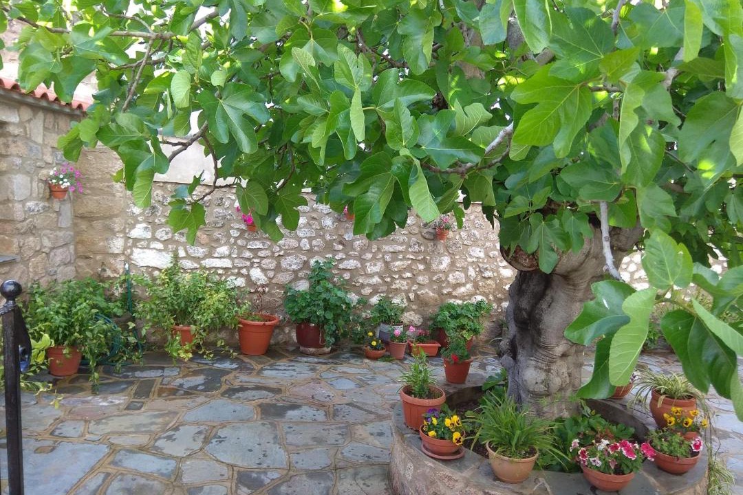 Photo of Others in Mata de Alcantara