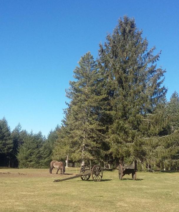 Photo of Others in Sousceyrac