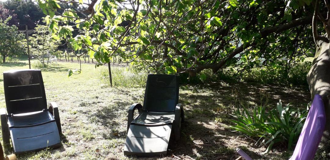 Photo of Outdoor in Meynes