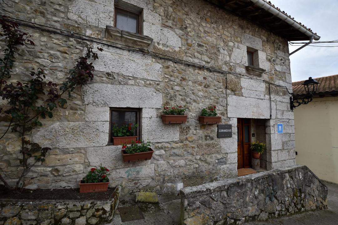 Photo of Others in Ergoiena